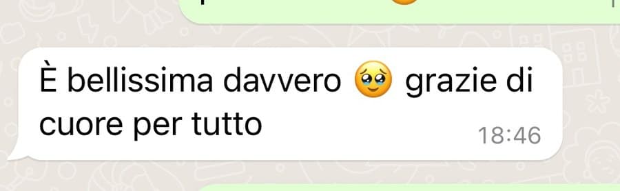 Messaggio di Rosa dopo aver ricevuto il pezzo